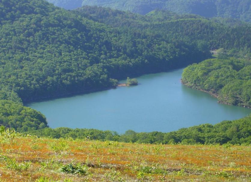 Vista esterna Foto