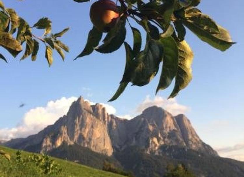 Altro Foto