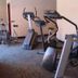 Palestra