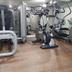 Palestra