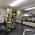 Palestra