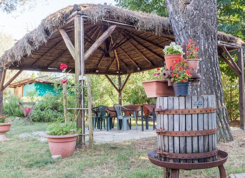 Patio Foto