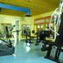Palestra