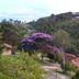 Vista esterna