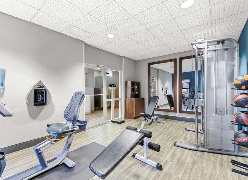 Palestra Foto
