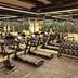 Palestra
