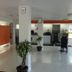 Ingresso
