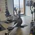 Palestra