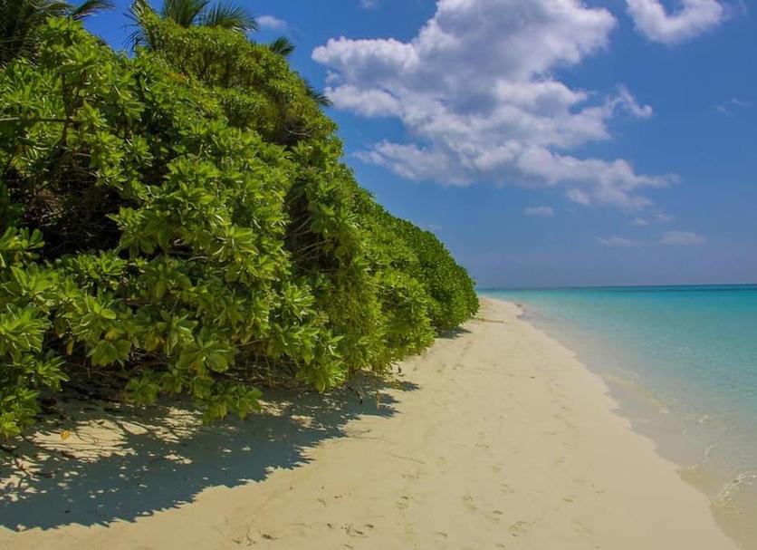 Spiaggia Foto