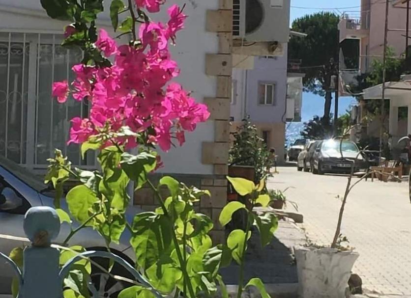 Vista esterna Foto