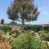 Vista esterna