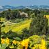 Vista esterna
