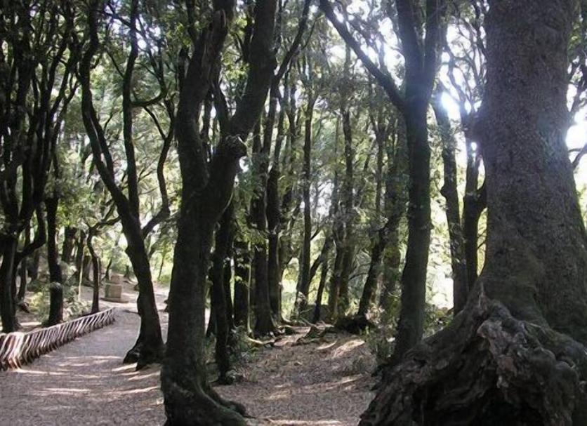 Vista esterna Foto
