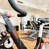 Palestra