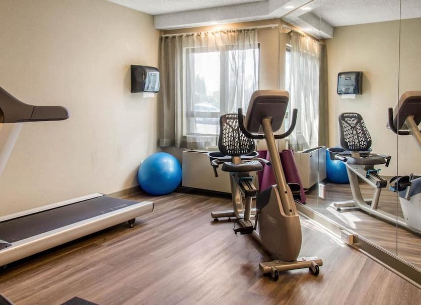 Palestra Foto