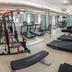 Palestra