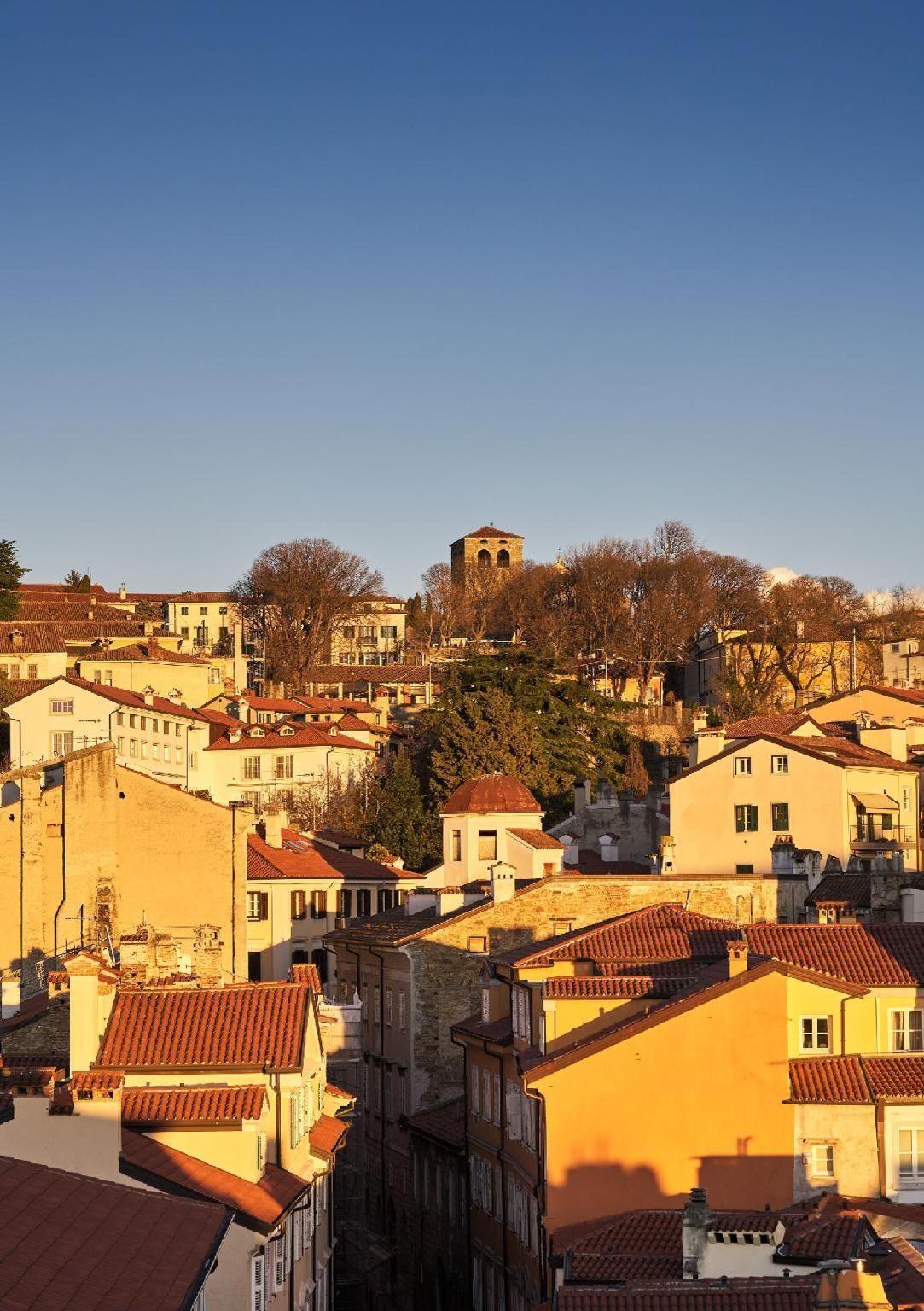 Vista esterna
