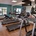 Palestra