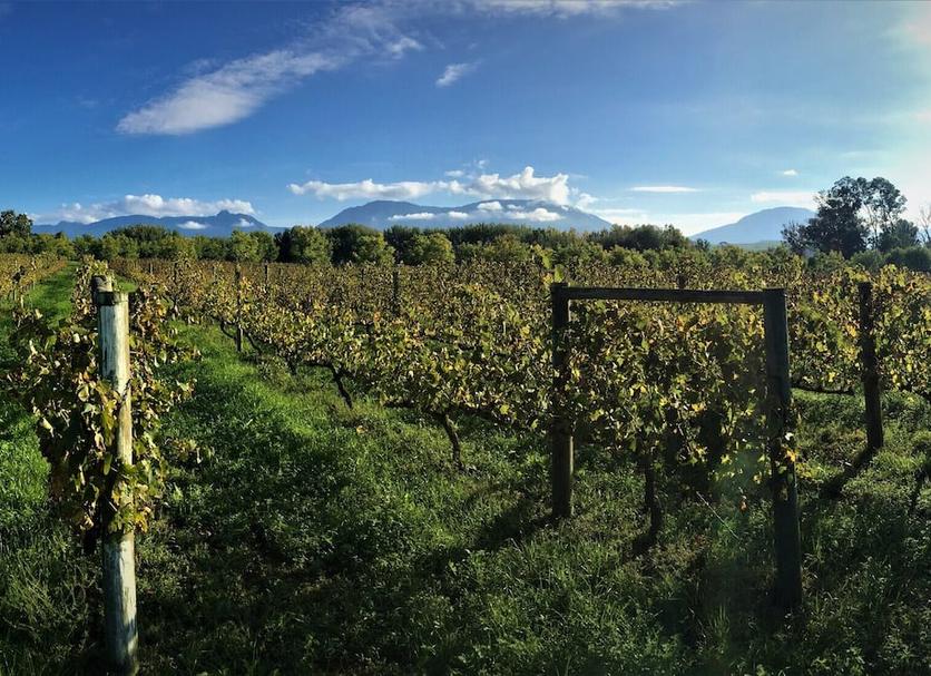 Vista esterna Foto