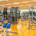 Palestra