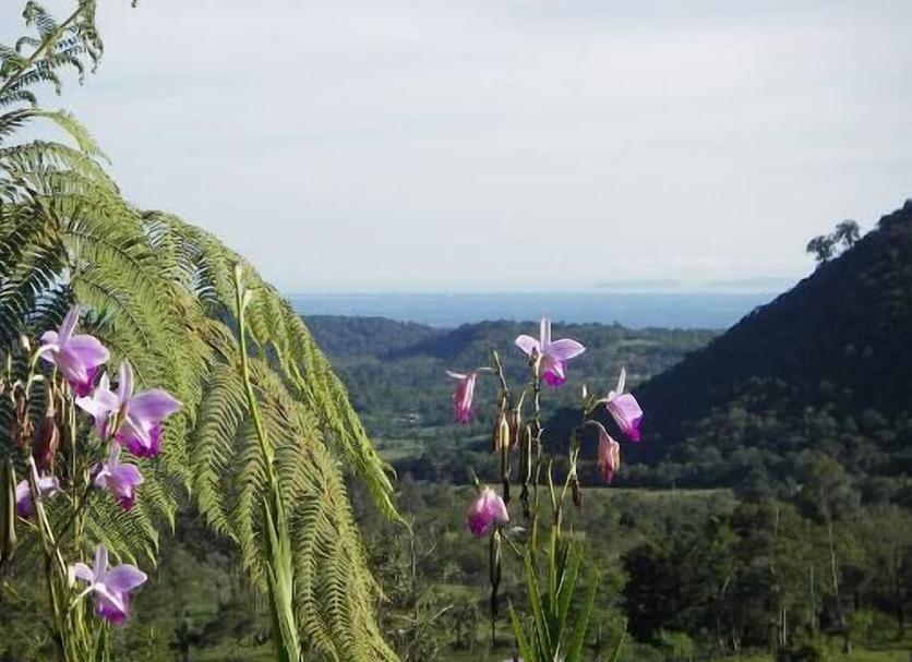 Vista esterna Foto