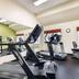 Palestra