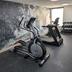 Palestra