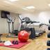 Palestra