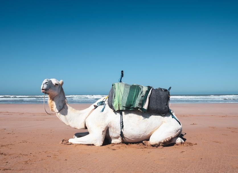 Spiaggia Foto