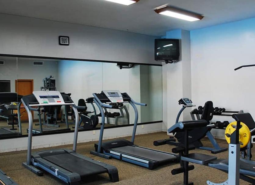 Palestra Foto