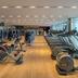 Palestra