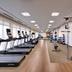 Palestra
