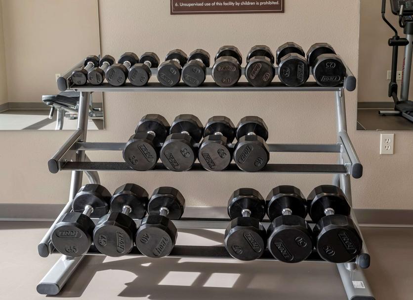 Palestra Foto