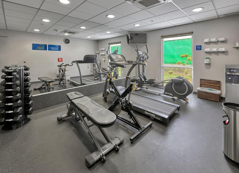 Palestra Foto