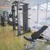 Palestra