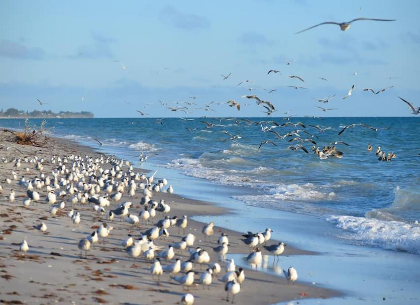Spiaggia Foto