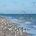 Spiaggia