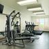 Palestra