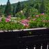 Vista esterna