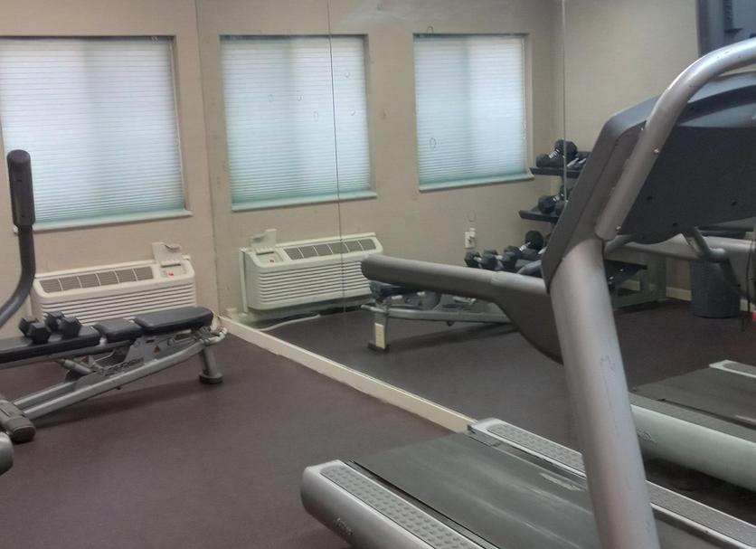Palestra Foto