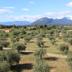 Vista esterna
