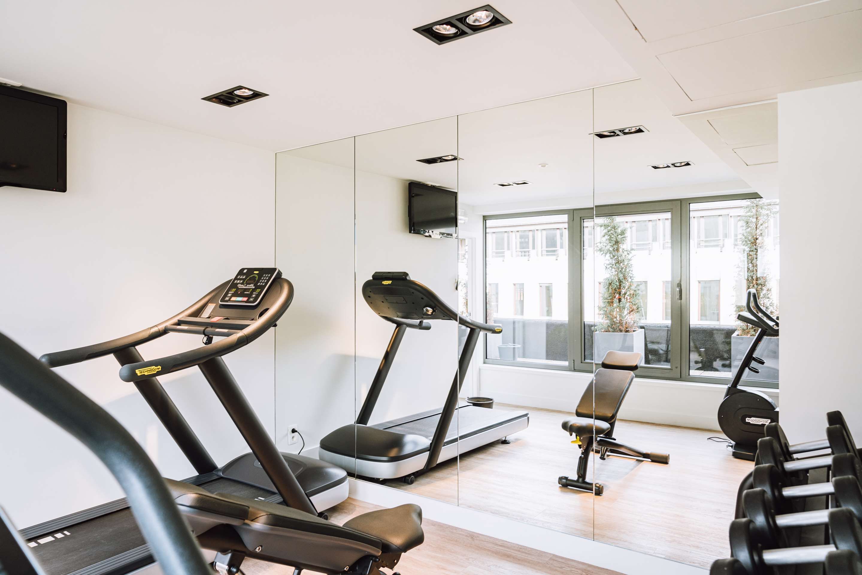 Palestra