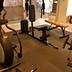 Palestra