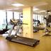 Palestra