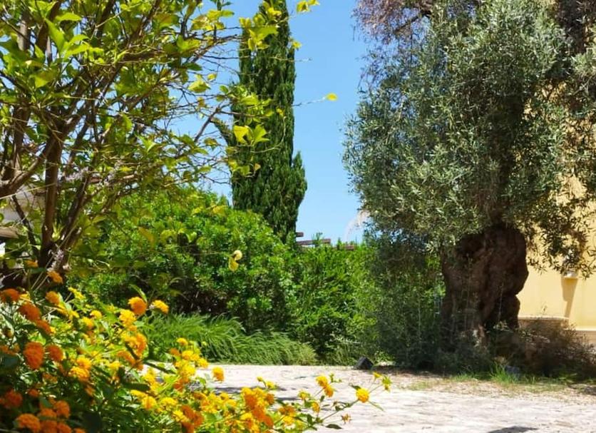 Vista esterna Foto