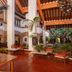 Ingresso