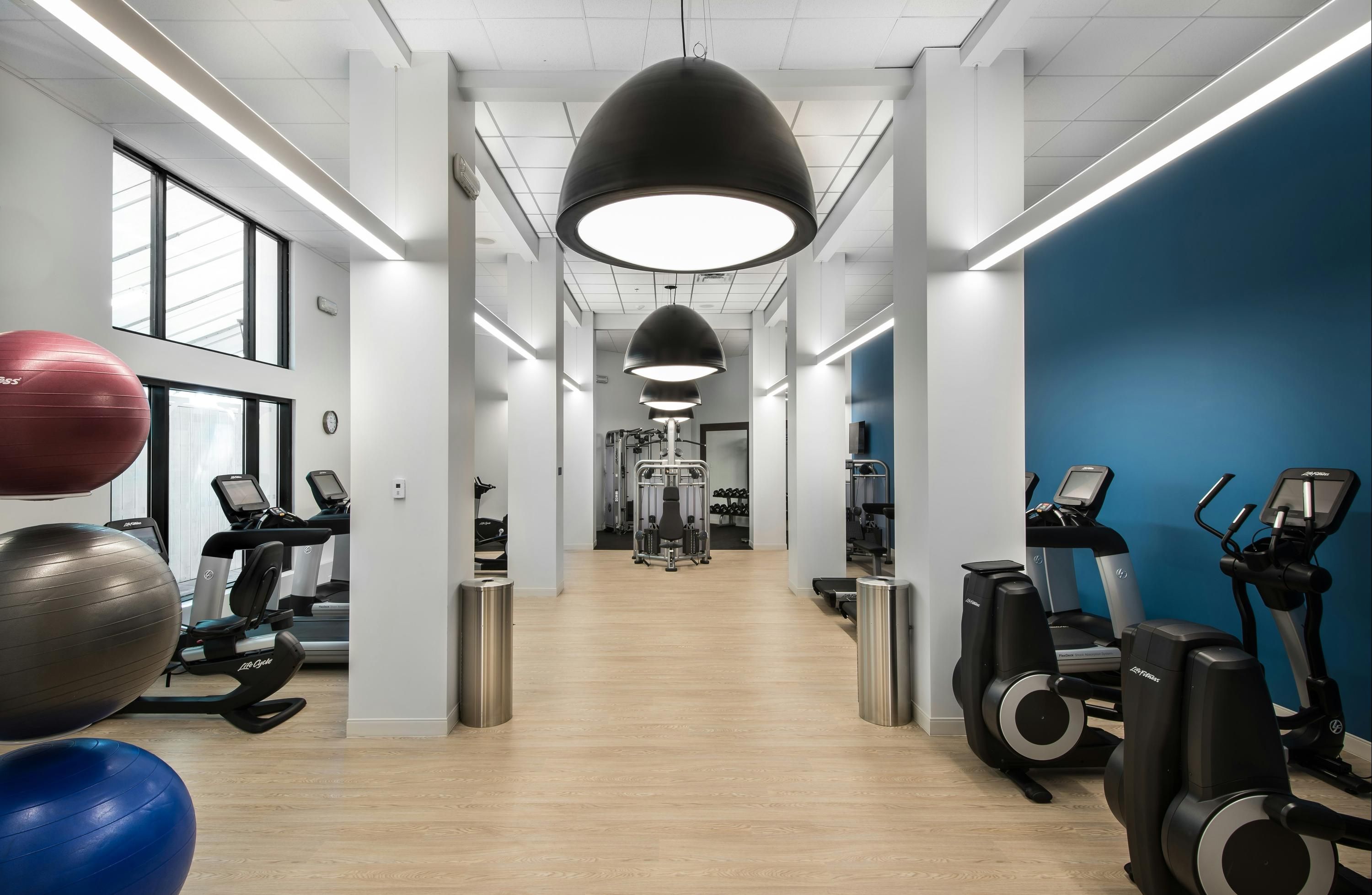 Palestra