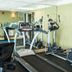 Palestra