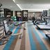 Palestra