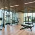 Palestra